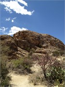 Tucson 2556